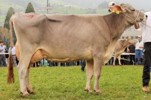141003Sarnen 137